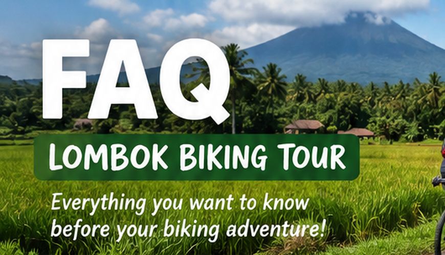 Frequently Asked Questions (FAQ)